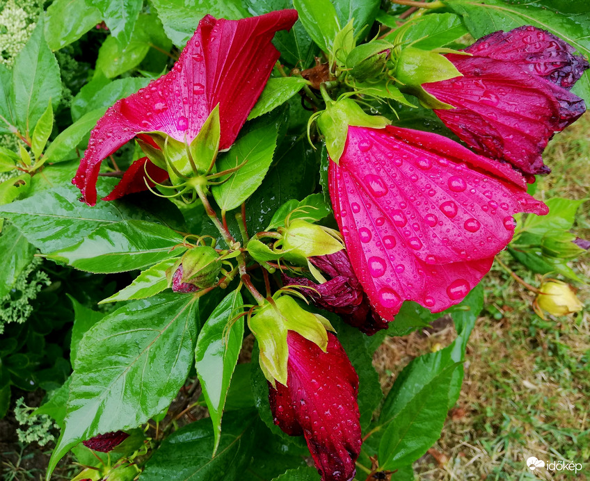 Polgárdi, 4 mm délelőtt :) 