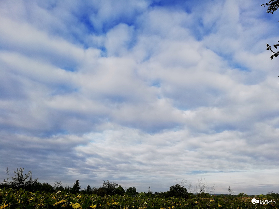 Polgárdi, 15 mm-t kaptunk az este, 