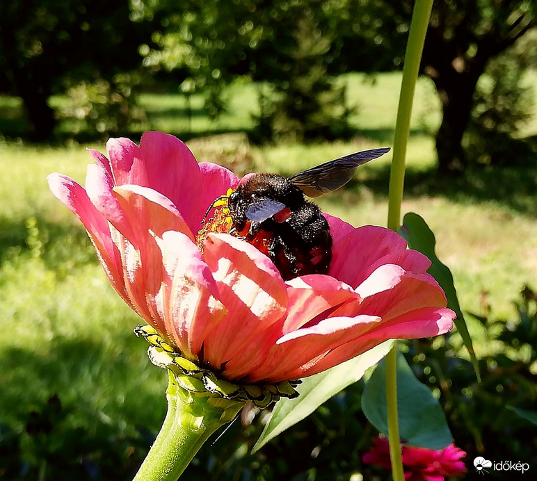 Polgárdi, nyárias időben :) 