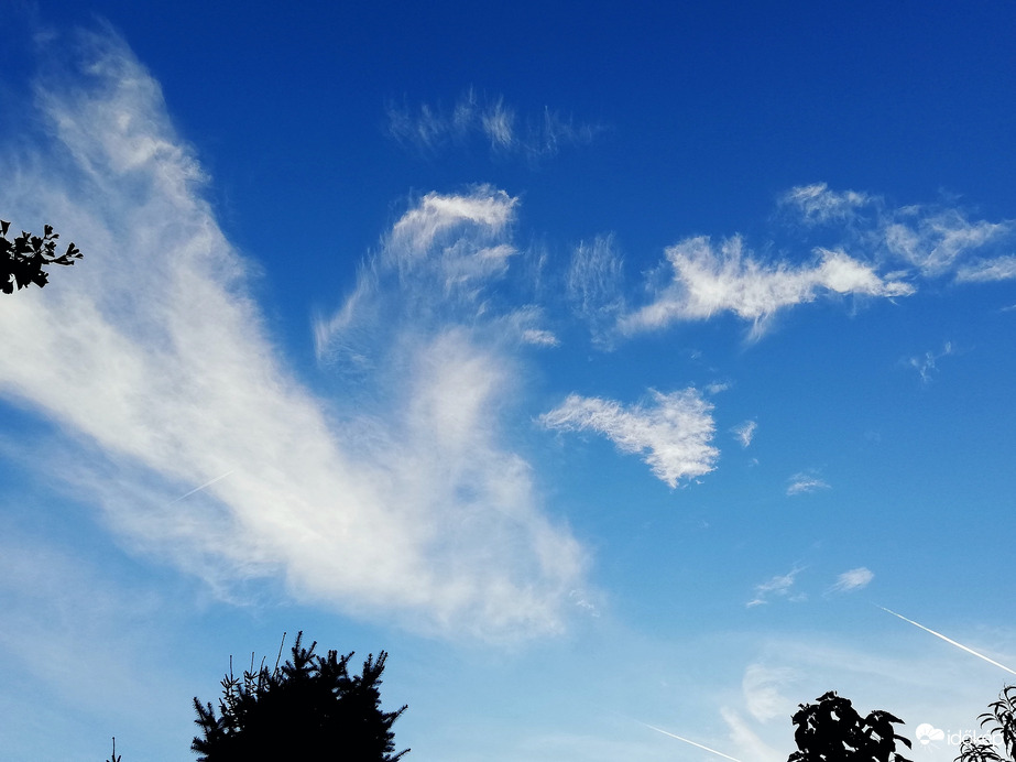 Délutáni szárnyalás