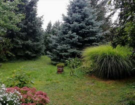 Polgárdi, esik, fúj, 15 fok