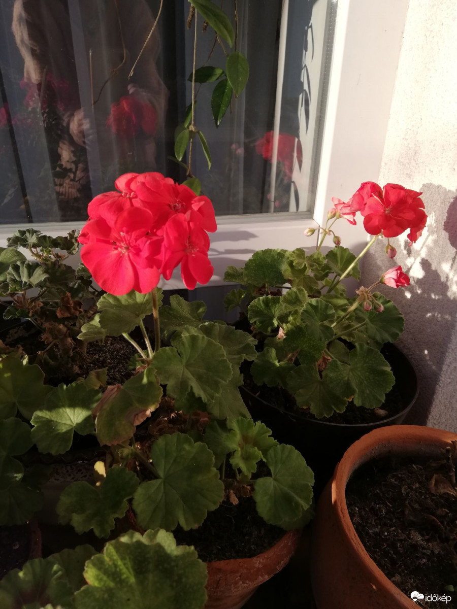 Kint vagyunk még mindig