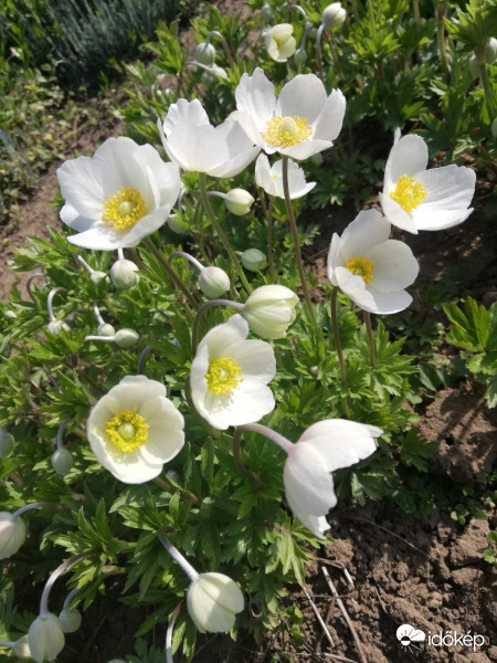 Napra mosolyogva