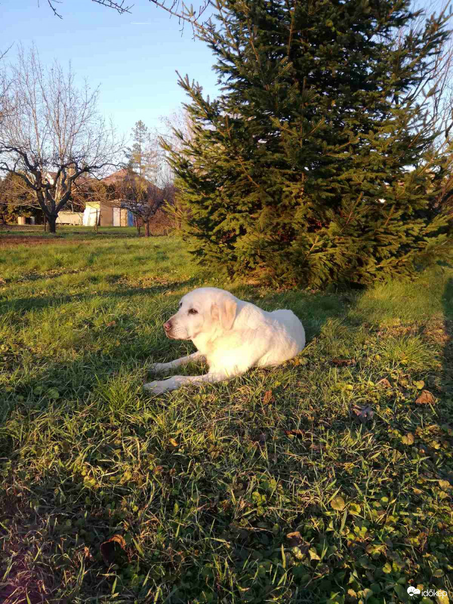 Decemberi napfürdő