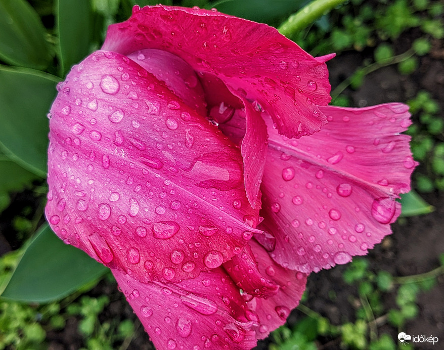 Majdnem 9 mm-t hozott a front