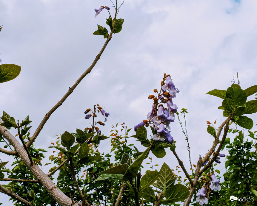 Polgárdi, felhős, hűvös idő 