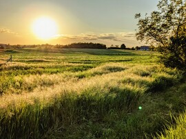 Polgárdi, lemenő Nap fényében 