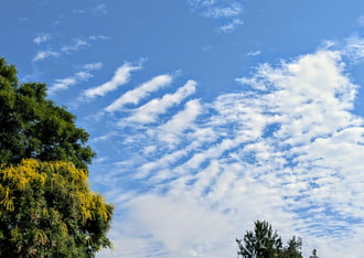 Polgárdi, gyengén felhős, élénk É-Ny szél, 29 C