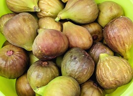 Beindult a füge érés :)