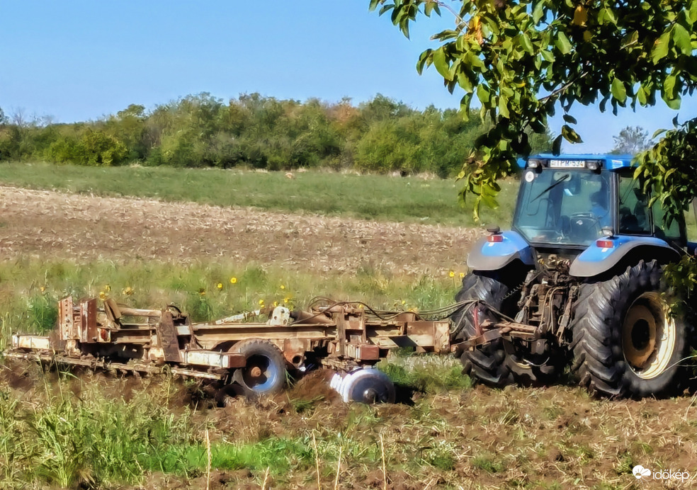 Polgárdi, őszi tárcsázás :)