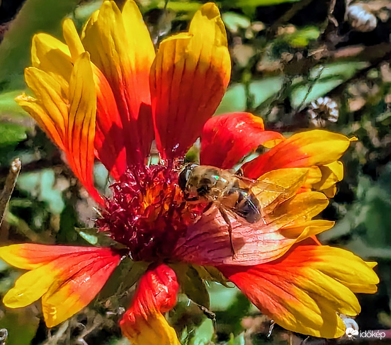 Az erős szél ellenére :)