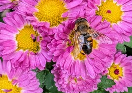 Az erős szél ellenére :)