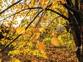 Polgárdi, napsütéses délután :)