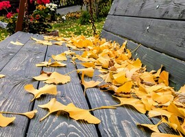 A szél gyűjteménye :)
