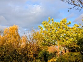 Polgárdi, megjött a fény