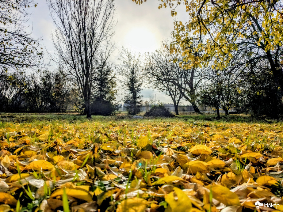 Polgárdi, győzött a Nap! 12 C
