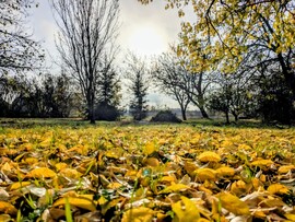 Polgárdi, győzött a Nap! 12 C