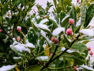 Polgárdi, reggeli hólepel :)