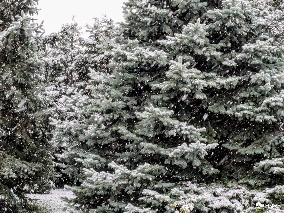 Polgárdi, karácsonyi hangulatban :)