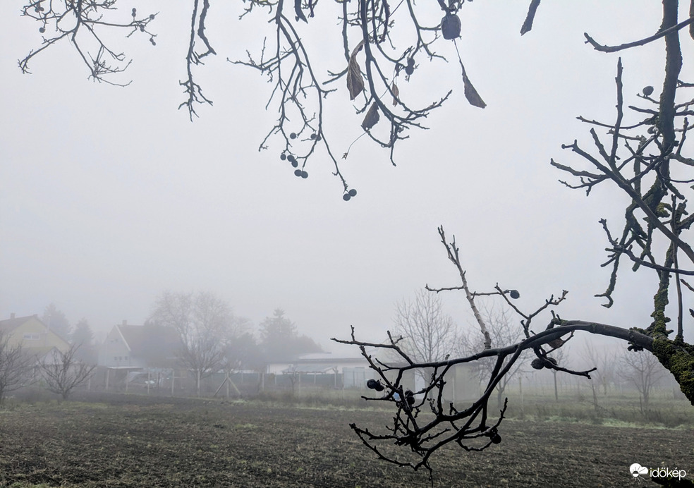 Polgárdi, csak a szokásos 