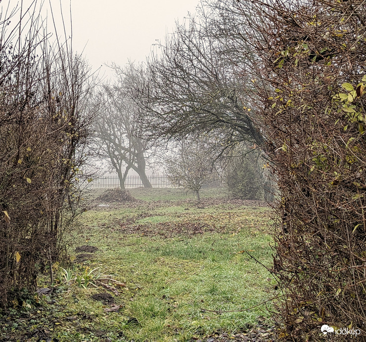 Polgárdi, kertes ködös 