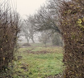 Polgárdi, kertes ködös 