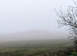 Polgárdi, domboldalas ködös 