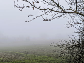 Polgárdi, kitart a köd, +3 C 