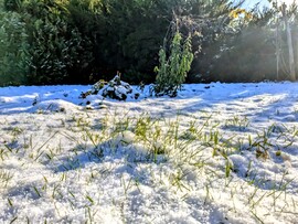 Polgárdi, Napsütés, jó levegő +1 C