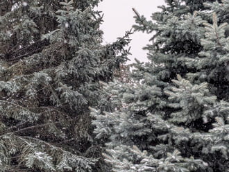 Polgárdi, dél óta kitartóan havazik, -2 C