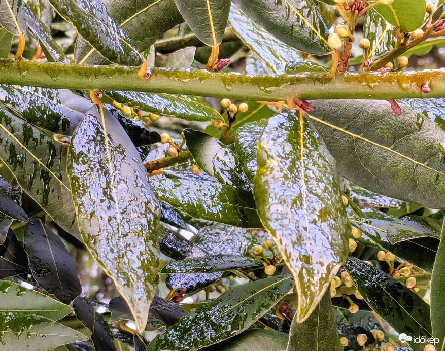 Polgárdi, még felhős, 0 C