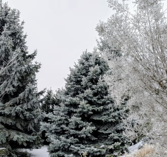Polgárdi, zúzmara és ború, -4 C