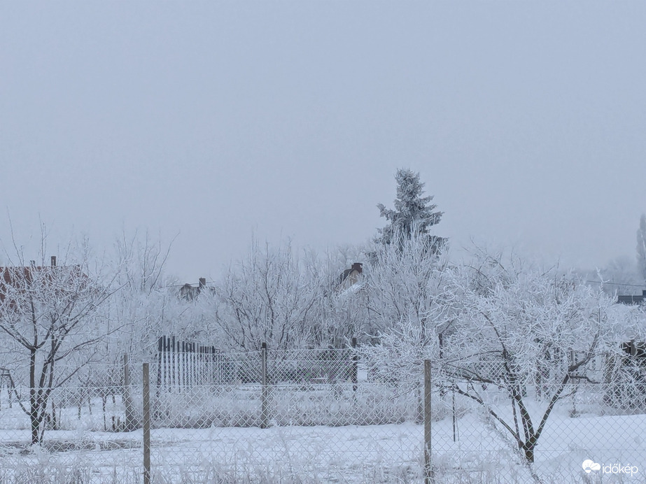 Polgárdi zúzmara, pára, 