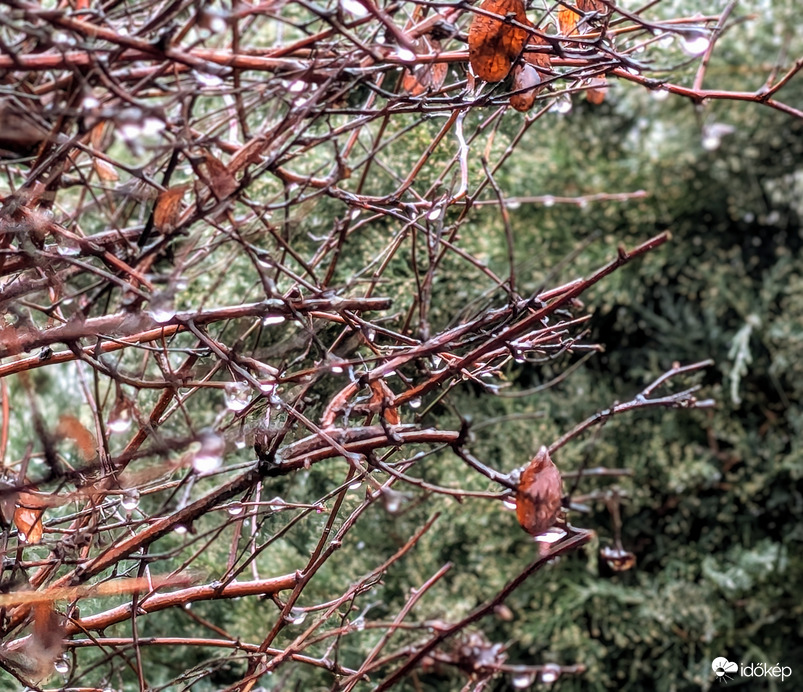 Polgárdi, szemerkélő eső