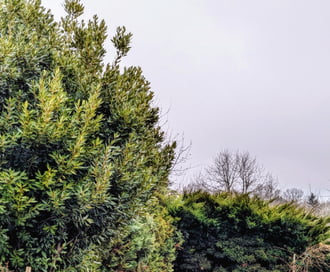 Polgárdi, hószállingózás, +2 C