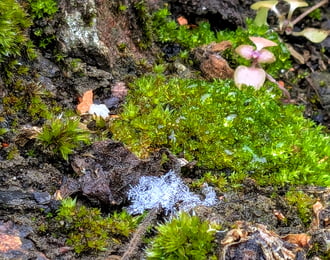 Polgárdi, elolvad a szállingózó hó