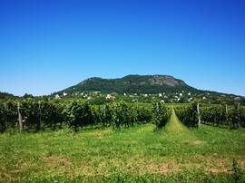 Szigliget