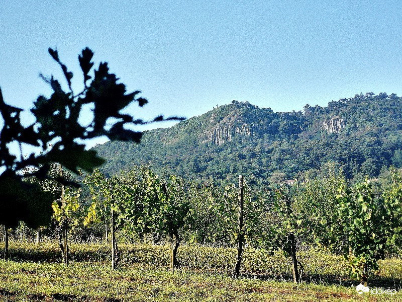 Tapolca