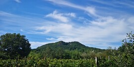 Tapolca