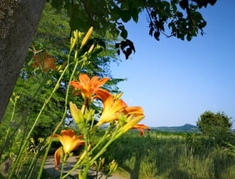 Tapolca