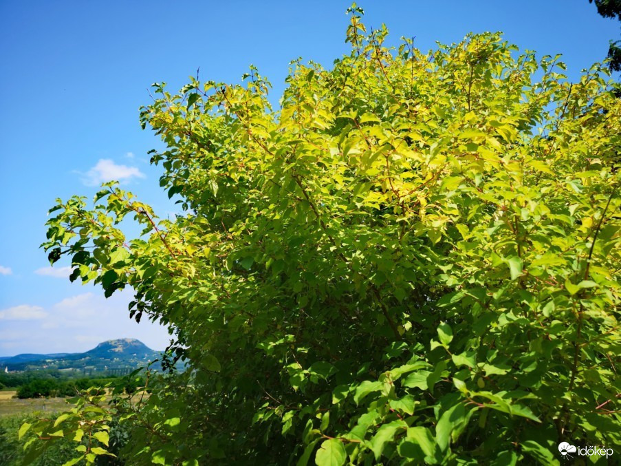 Tapolca