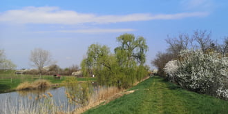 Napfényes tóparton 