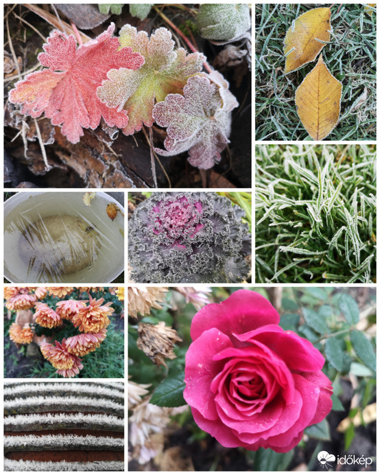 Ködös, fagyos reggelen