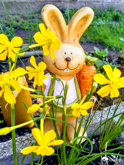 Kellemes húsvéti ünnepeket kívánok! :)