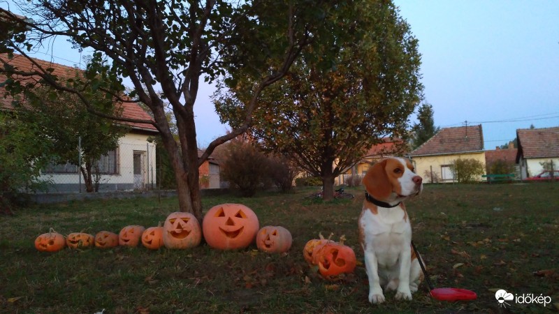 Őrzöm a tököket