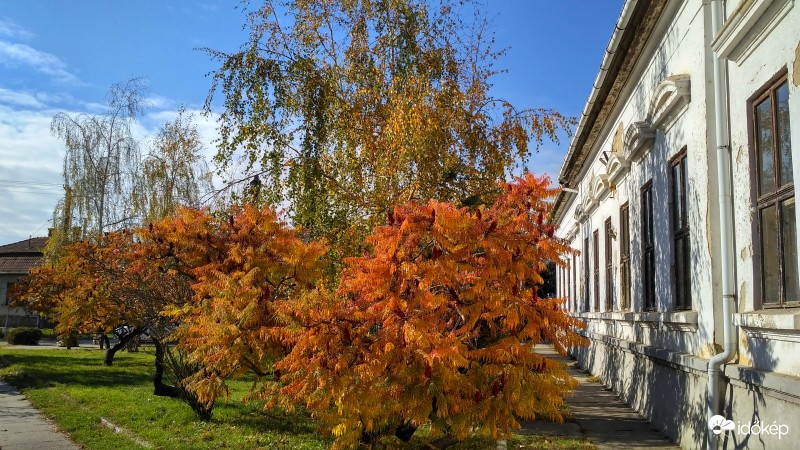 Délutáni napsütésben