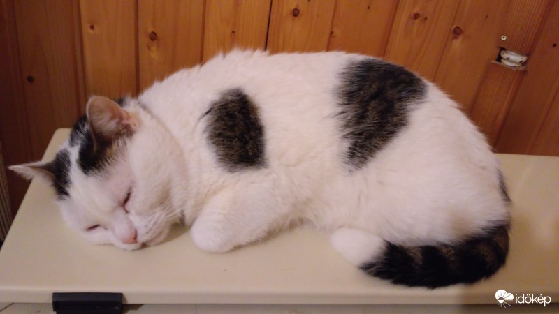 Ilyen borult időben csak lustálkodni lehet ..