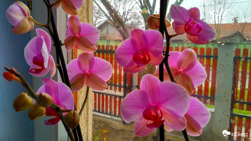 Bár a Sándorok ilyen időt hoztak,boldog névnapot nekik!