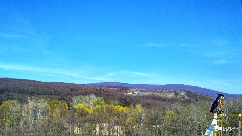 Kilátóból bagoly szemmel