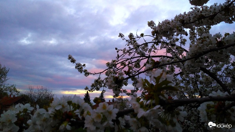 Szeles,hűvös alkony